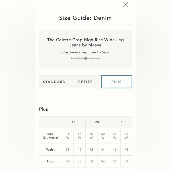 NWT Anthropologie 20W The Colette Crop High-Rise Wide-Leg Jeans by Maeve - Picture 16 of 16